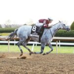 Wicked Halo, horse, Gun Runner, Lexus Raven Run Stakes, sábado, 22 de octubre de 2022, Keeneland. Foto: Coady Photography