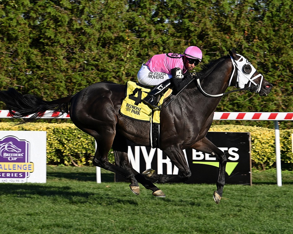 King Cause, horse, Bret Jones, Knickerbocker Stakes, domingo, 9 de octubre de 2022, Aqueduct. Foto: Coglaniese Photo & Susie Raisher