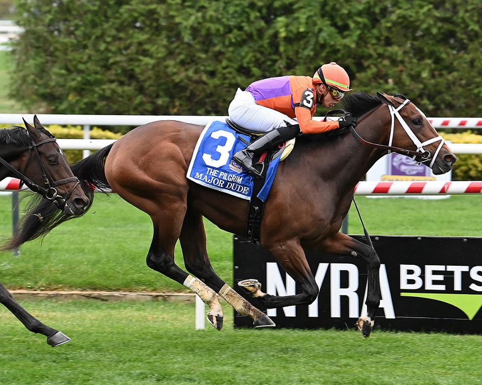 Major Dude, horse, Bold D´Oro, Pilgrim Stakes, domingo, 2 de octubre de 2022, Aqueduct. Foto: Coglaniese Photo & Susie Raisher
