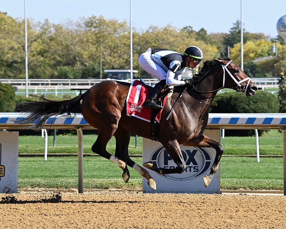 Nest, horse, Curlin, Beldame Stakes, domingo, 9 de octubre de 2022, Aqueduct. Foto: Coglaniese Photo & Susie Raisher