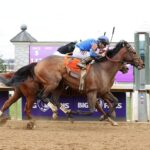 Cody´s Wish, horse, Curlin, Big Ass Fans Breeders Cup Dirt Mile, sábado, 5 de noviembre de 2022, Keeneland. Foto: Coady Photo