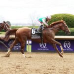 Elite Power, horse, Curlin, Qatar Racing Breeders Cup Sprint, sábado, 5 de noviembre de 2022, Keeneland. Foto: Coady Photo