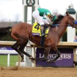 Flightline, horse, Hronis Racing, Longines Breeders´Cup Classic, sábado, 5 de noviembre de 2022, Keeneland. Foto: Coady Photo