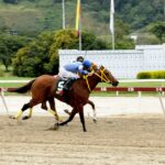 Kingston, horses, Haras La Primavera, Clásico Nuestra Señora de la Chiquínquira Machos, domingo, 6 de noviembre de 2022, La Rinconada. Foto: José Antonio Aray