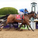 Malathaat, horse, Curlin, Blue Grass Stakes, sábado, 5 de noviembre de 2022, Keeneland. Foto: Coady Photo