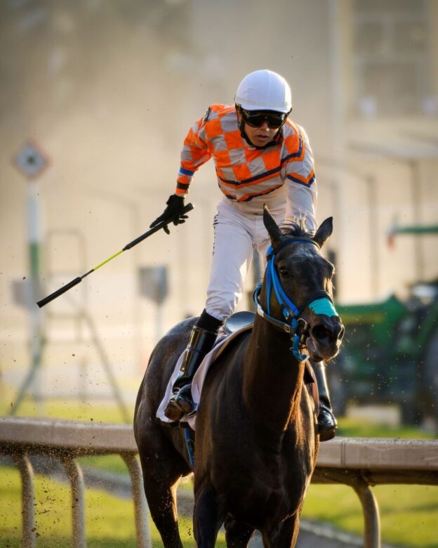 Pacatelas, horse, Cuadra G.L., Clásico Gran Promesa, Hipódromo de Las Américas, sábado, 25 de junio de 2022. Foto: Miguel Ángel Espinoza