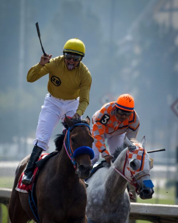 Pascualita, horse, Big Apple, Clásico Criadores Mexicanos Hembras, Hipódromo de Las Américas, sábado, 29 de octubre de 2022. Foto: Miguel Ángel Espinoza