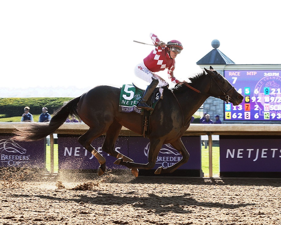 Wonder Wheel, Into Mischief, Breeders´ Cup Juvenile Fillies, viernes, 4 de noviembre de 2022, Keeneland. Foto: Coady Photography