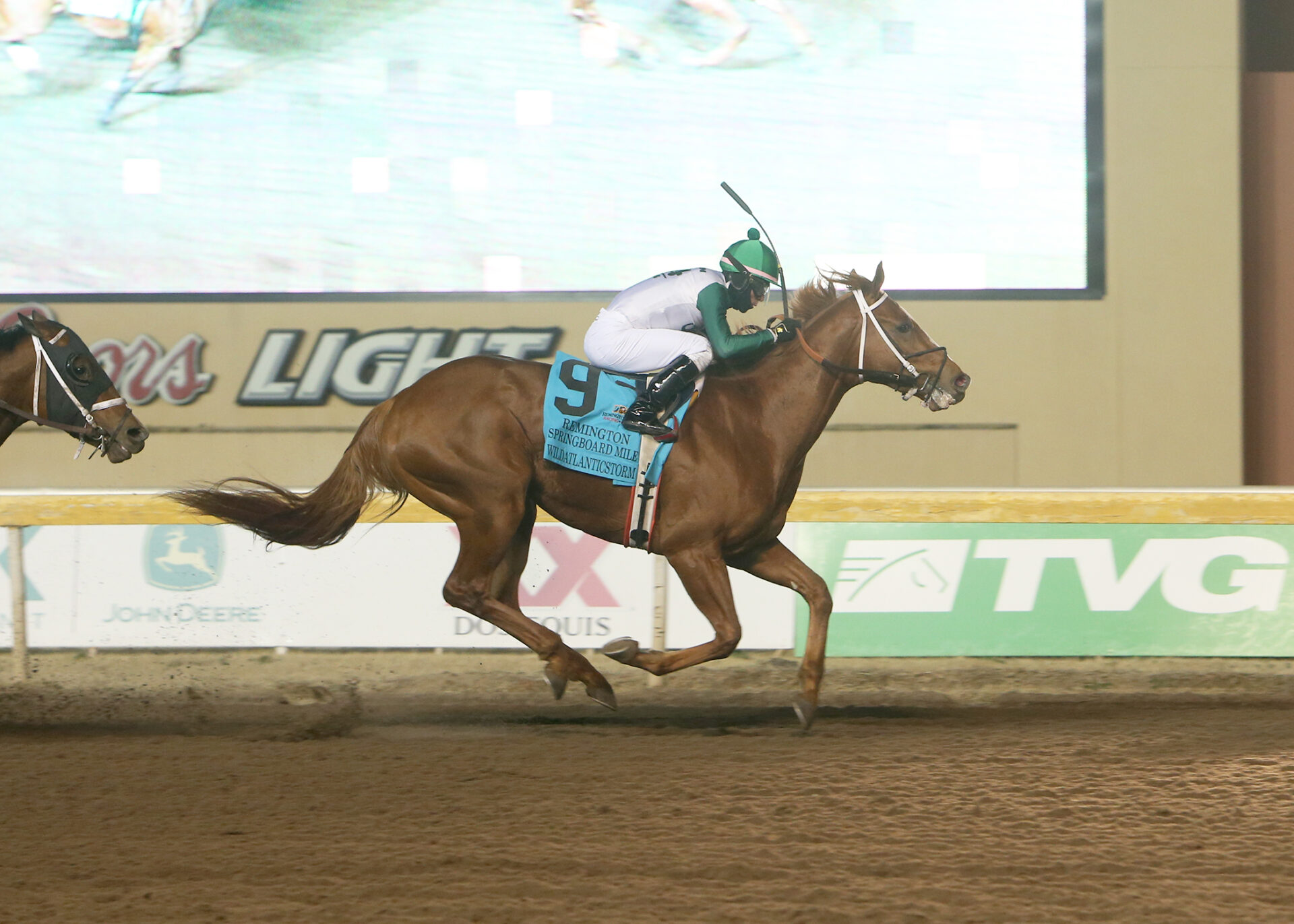 Wildatlanticstorm, horse, Stormy Atlantic, Remington Springboard Mile Stakes, sábado, 18 de diciembre de 2022, Remington Park. Foto: Dustin Orona