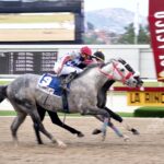 El De Froix, horse, Haras La Orlyana, Clásico Copa Confraternidad de Machos, Serie Hípica del Caribe, domingo, 11 de diciembre de 2022, La Rinconada. Foto: José Antonio Aray