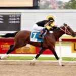 Futuro, horse, Temple City, Copa Velocidad del Caribe, Serie Hípica del Caribe, domingo, 11 de diciembre de 2022, La Rinconada. Foto: José Antonio Aray