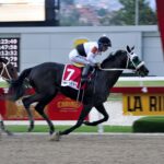 Iniesta, horse, Granja San Isidro, Clásico Del Caribe, Serie Hípica del Caribe, domingo, 11 de diciembre de 2022, La Rinconada. Foto: José Antonio Aray