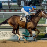 Jace´s Road, horses, Quality Road, Gun Runner Stakes, lunes, 26 de diciembre de 2022, Fair Grounds. Foto: Hodges Photography