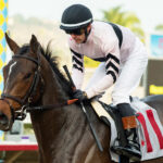 Liguria, Horses, Mr. Speaker, Jimmy Durante Stakes, sábado, 3 de diciembre de 2022, Del Mar. Foto: Benoit Photo
