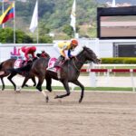 Philomena, horse, Haras La Orlyana, Copa Dama Del Caribe, Serie Hípica del Caribe, domingo, 11 de diciembre de 2022, La Rinconada. Foto: José Antonio Aray