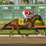 Practical Move, Horses, Head Of Plains Partners, Los Alamitos Futurity, sábado, 17 de diciembre de 2022, Hipódromo Los Alamitos. Foto: Benoit Photo