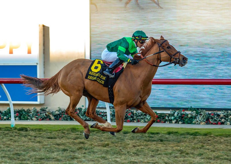 Regal Glory, Horses, Animal Kingdom, Matriarch Stakes, domingo, 4 de diciembre de 2022, Del Mar. Foto: Benoit Photo