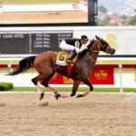 Sharapova, horse, Haras Los Samanes, Copa Confraternidad de Yeguas, Serie Hípica del Caribe, domingo, 11 de diciembre de 2022, La Rinconada. Foto: José Antonio Aray