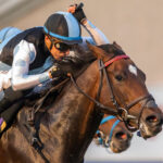 Speaking Scout, Horses, Mr. Speaker, Hollywood Derby, sábado, 3 de diciembre de 2022, Del Mar. Foto: Benoit Photo