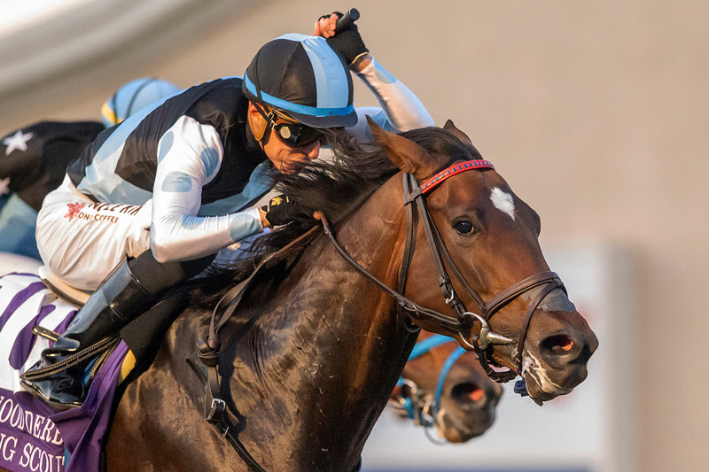 Speaking Scout, Horses, Mr. Speaker, Hollywood Derby, sábado, 3 de diciembre de 2022, Del Mar. Foto: Benoit Photo