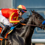 Speed Boat Beach, Horses, Bayern, Cecil B. Demille Stakes, domingo, 4 de diciembre de 2022, Del Mar. Foto: Benoit Photo