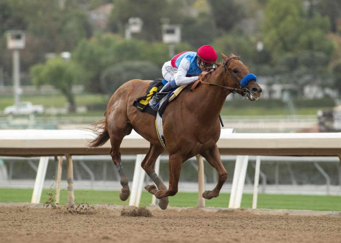 Taiba, horse, Gun Runner, Malibú Stakes, sábado, 26 de diciembre de 2022, Santa Anita Park. Foto: Benoit Photo