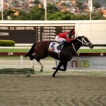 Templario, horse, Haras La Invasión, Copa Invitacional de Importados, Serie Hípica del Caribe, domingo, 11 de diciembre de 2022, La Rinconada. Foto: José Antonio Aray