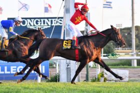 The Punisher, horse, Cityscape, Clásico Carlos Pellegrini, sábado, 17 de diciembre de 2022, Hipódromo de San Isidro. Foto: Prensa HSI