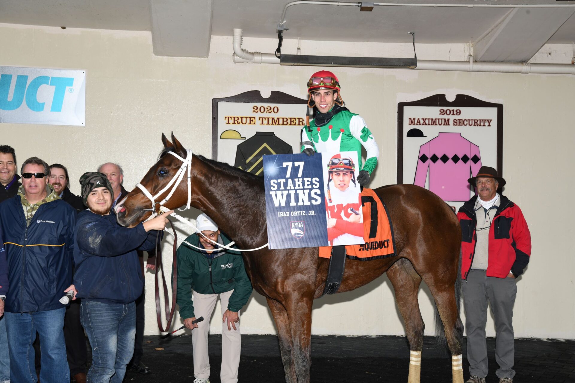Dr B, horse, Irad Ortiz Jr., Go For Wand Stakes, sábado, 3 de diciembre de 2022, Aqueduct. Foto: Coglaniese Photo & Susie Raisher