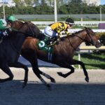 Súper Corinto, horse, Super Saver, Allowance Optional Claiming, jueves, 8 de diciembre de 2022, Gulsftream Park. Foto: Coglianese Photo & Lauren King