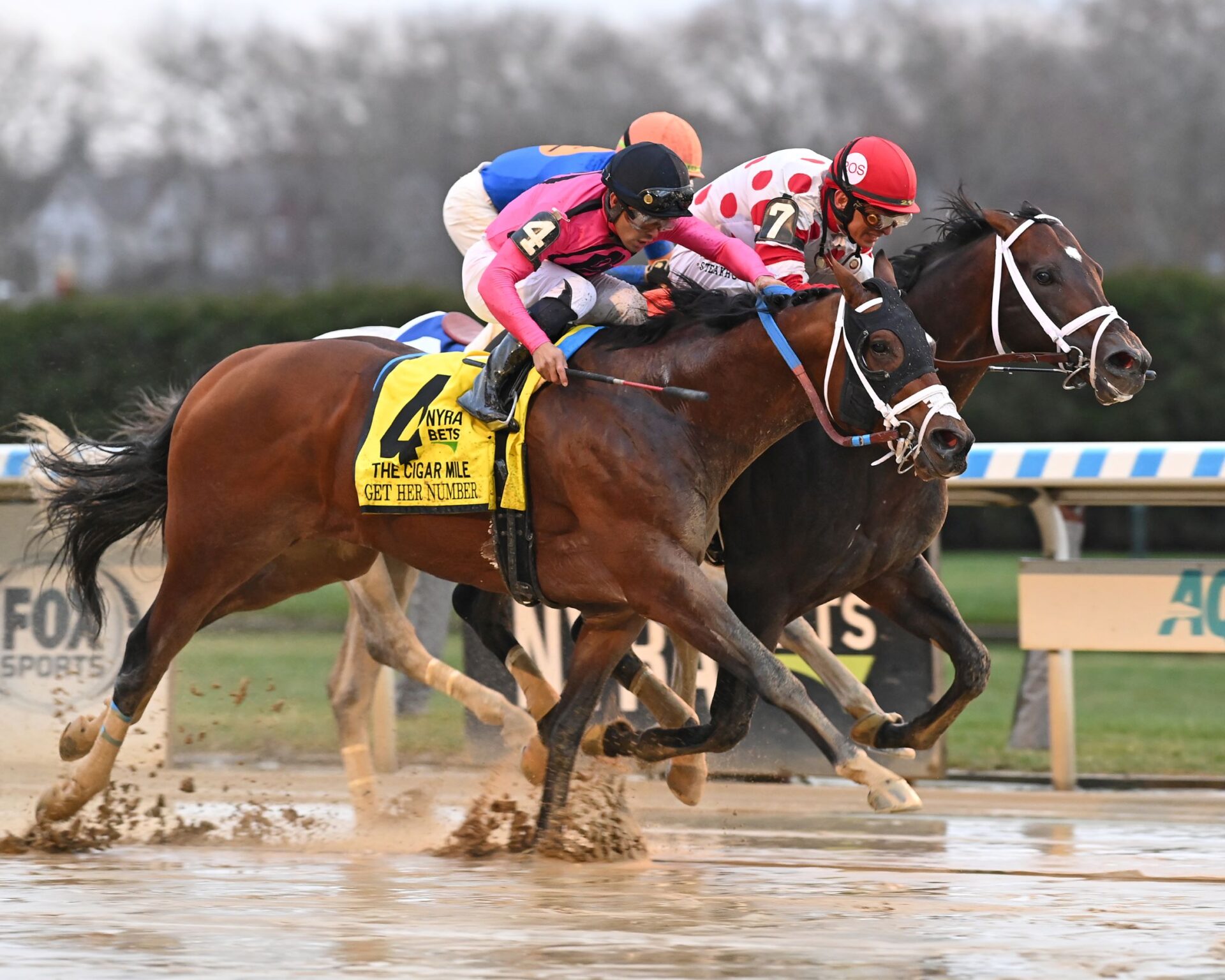 Mind Control, horse, Stay Thirsty, Cigar Mile Stakes, sábado, 3 de diciembre de 2022, Aqueduct. Foto: Coglaniese Photo & Susie Raisher