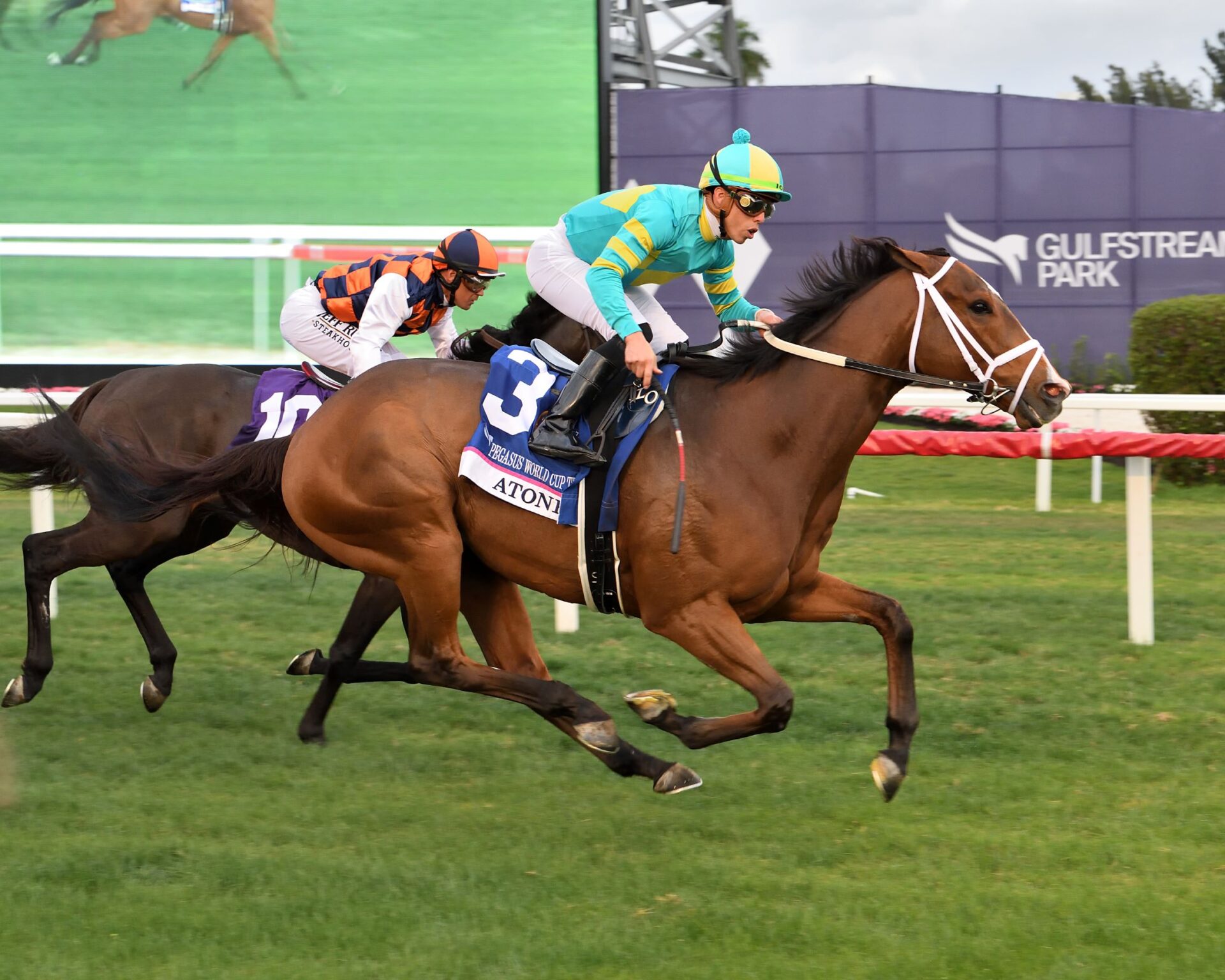 Atone, horse, Godolphin, Pegasus World Cup Turf Invitational, sábado, 28 de enero de 2023, Gulfstream Park. Foto: Coglaniese Photo