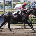 Black Knight, horse, Constitution, Clásico Filibustero, sábado, 21 de enero de 2023, Hipódromo Chile. Foto: Jaime Cortés
