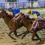 Happy American, horses, Run Happy, Louisiana Stakes, sábado, 21 de enero de 2023, Fair Grounds. Foto: Hodges Photography