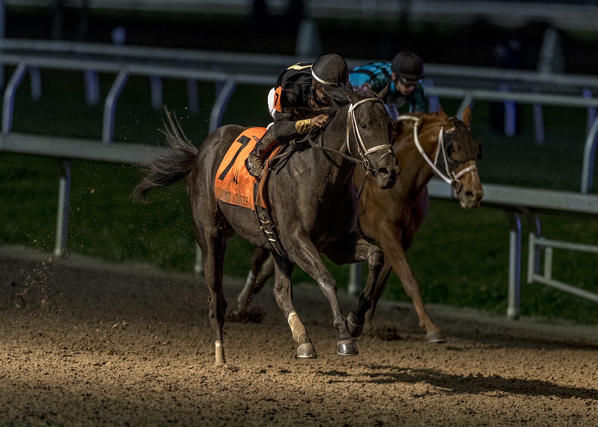 Instant Coffee, horse, Bold D´Oro, Lecomte Stakes, sábado, 21 de enero de 2023, Fair Grounds. Foto: Hodges Photography