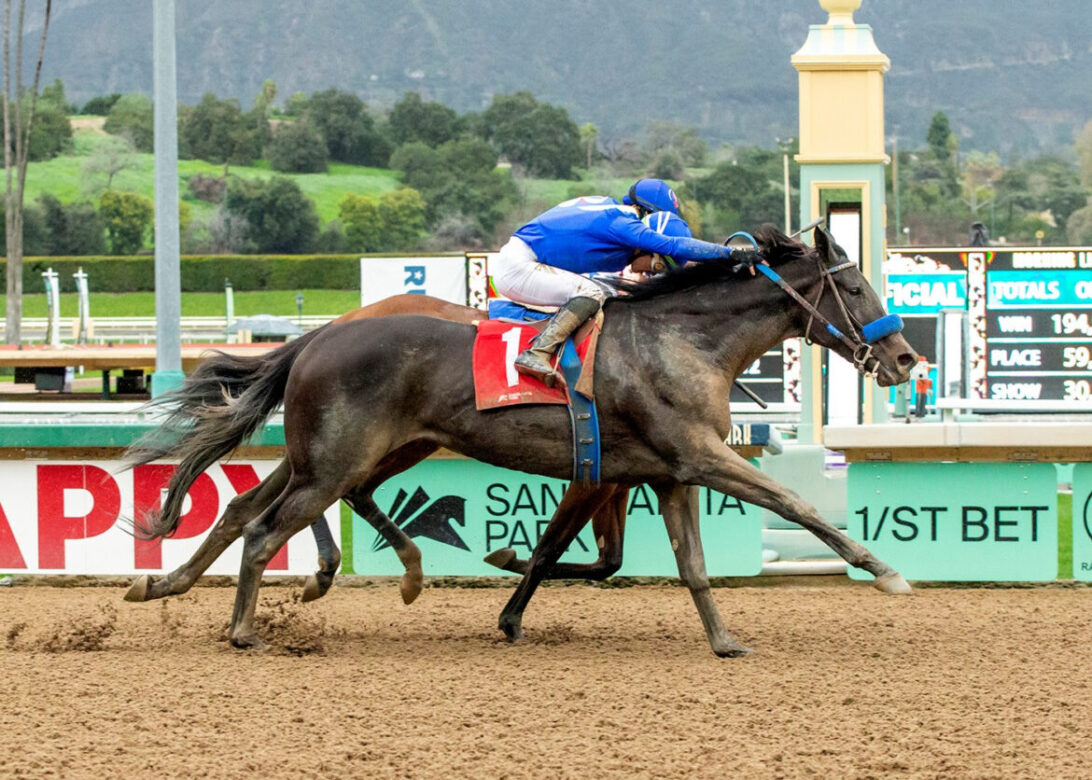 Kirstenbosch, Horses, Midnight Lute, La Cañada Stakes, domingo, 15 de enero de 2023, Santa Anita Park. Foto: Benoit Photo