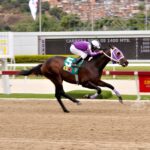 Li Tre Fratelli, horse, Haras Urama, Clásico Francisco de Miranda, domingo, 22 de enero de 2023, La Rinconada. Foto: José Antonio Aray