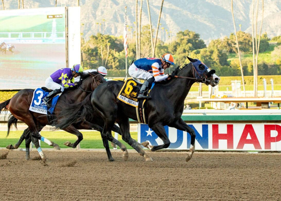 Newgrange, Horses, Violence, San Pascual Stakes, sábado, 28 de enero de 2023, Santa Anita Park. Foto: Benoit Photo