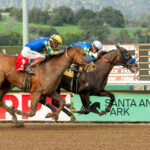 Reincarnate, horse, Good Magic, Sham Stakes, domingo, 8 de enero de 2023, Santa Anita Park. Foto: Benoit Photo