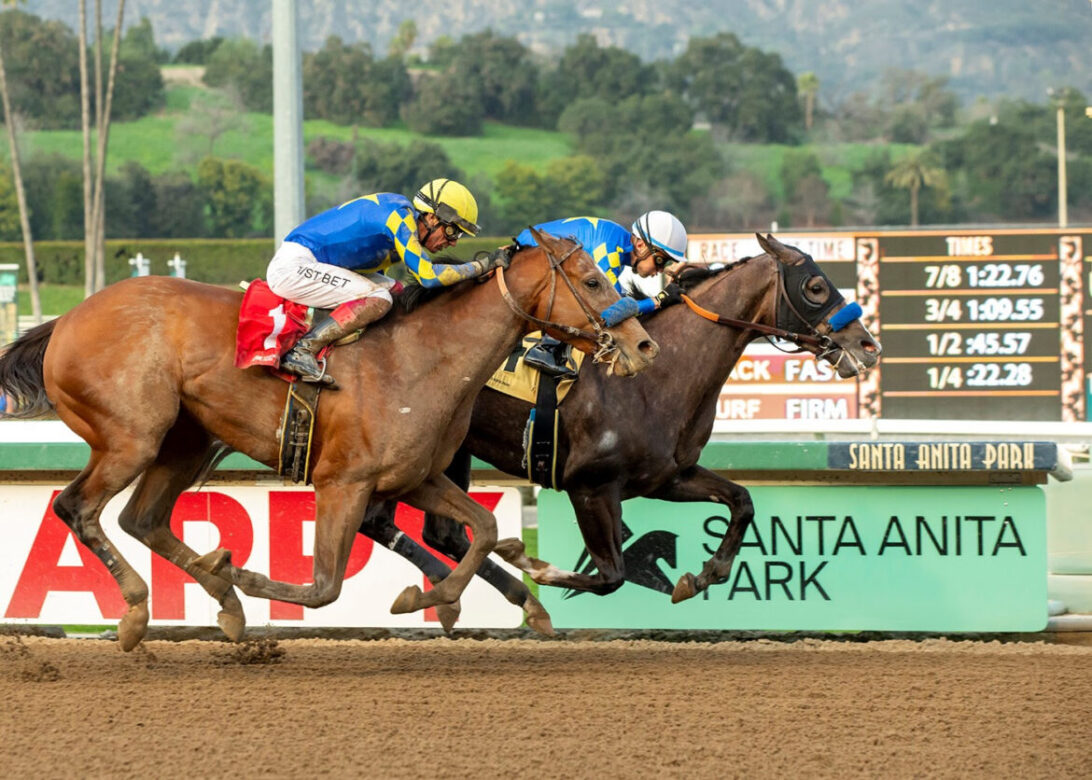 Reincarnate, horse, Good Magic, Sham Stakes, domingo, 8 de enero de 2023, Santa Anita Park. Foto: Benoit Photo