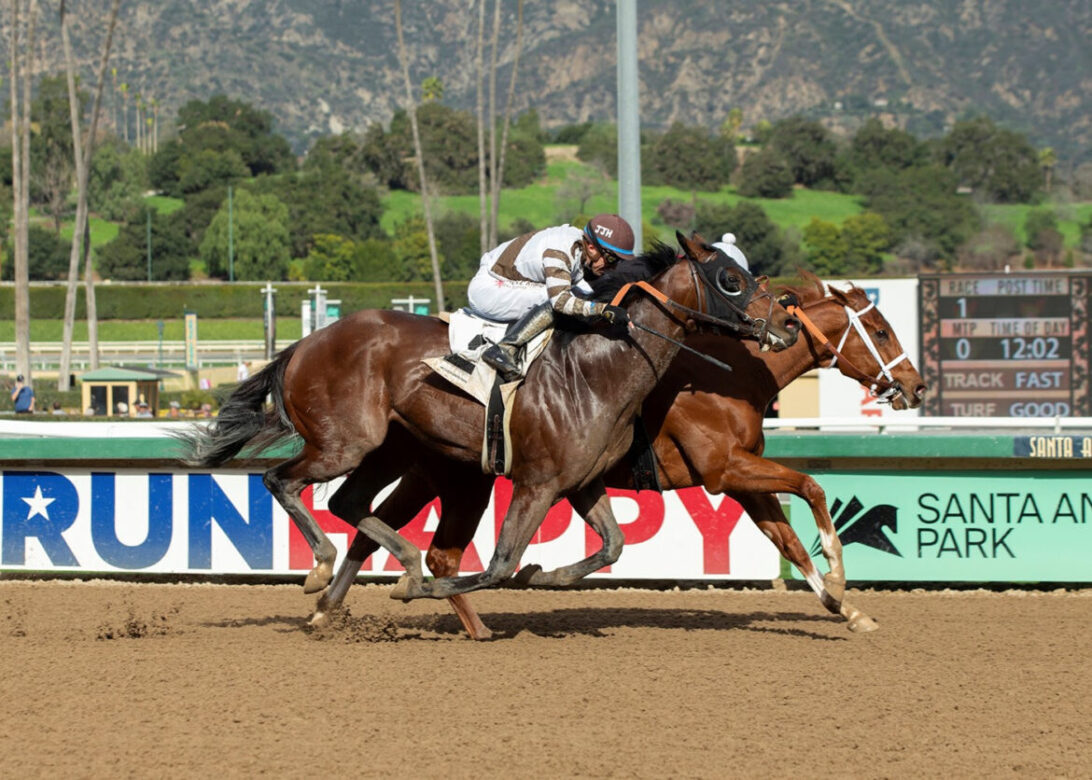 The Chozen Vron, Horses, Vronsky, Valpredo California Cup Sprint Stakes, sábado, 7 de enero de 2023, Santa Anita Park. Foto: Benoit Photo