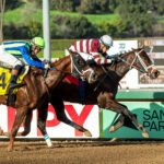 Thirsty John, Horses, Stay Thirsty, California Cup Derby, sábado, 7 de enero de 2023, Santa Anita Park. Foto: Benoit Photo