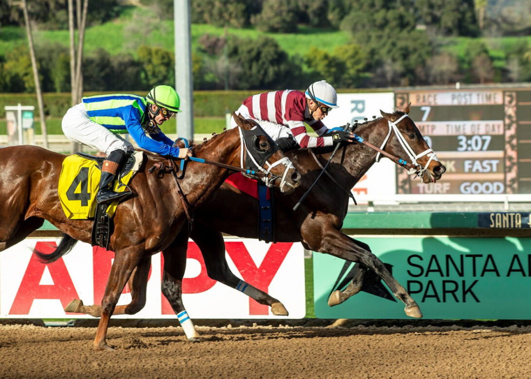 Thirsty John, Horses, Stay Thirsty, California Cup Derby, sábado, 7 de enero de 2023, Santa Anita Park. Foto: Benoit Photo
