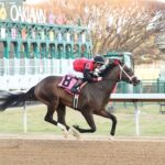Victory Formation, horse, Tapwrit, Smarty Jones Stakes, domingo, 1 de enero de 2023, Oaklawn Park. Foto: Coady Photo