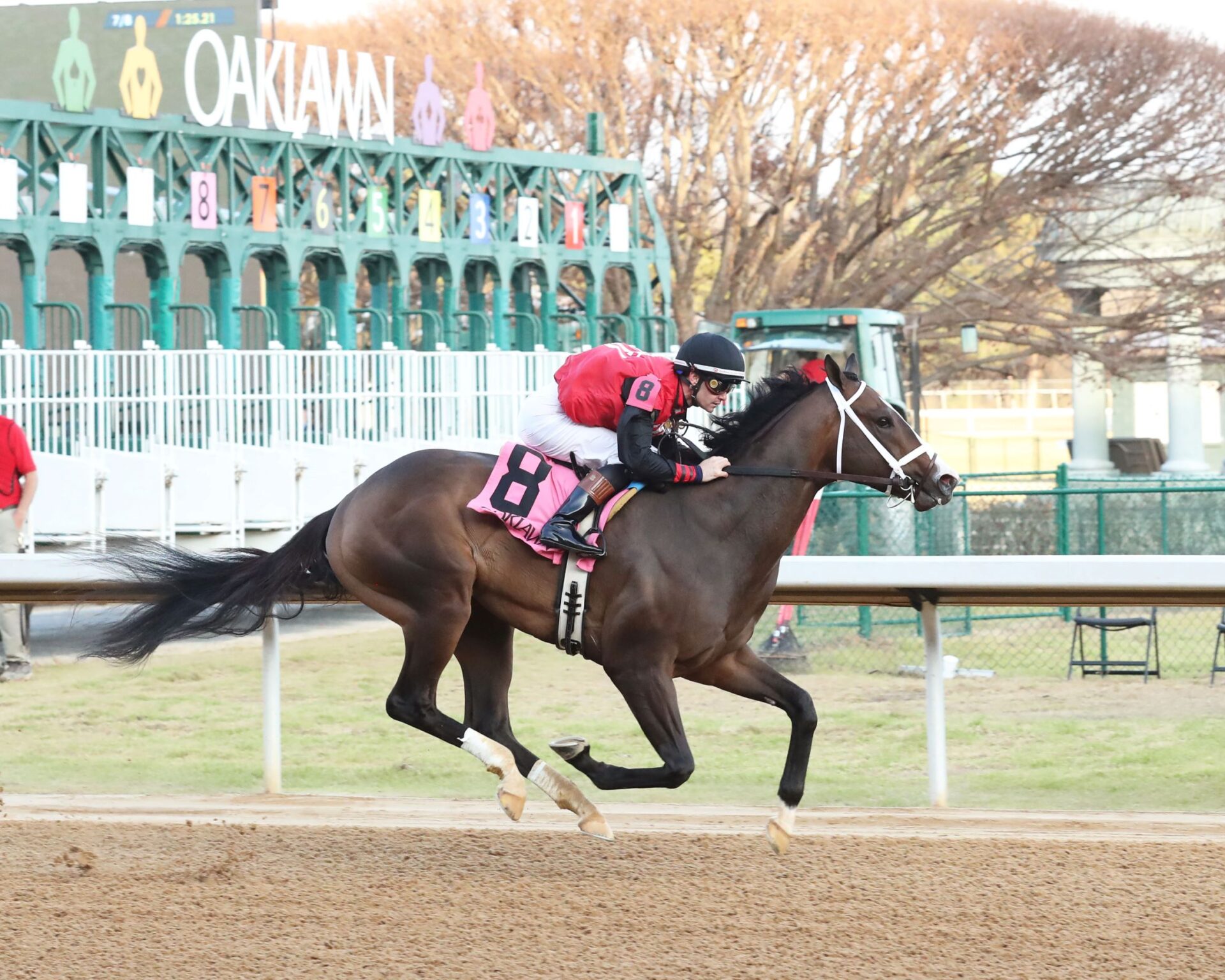 Victory Formation, horse, Tapwrit, Smarty Jones Stakes, domingo, 1 de enero de 2023, Oaklawn Park. Foto: Coady Photo