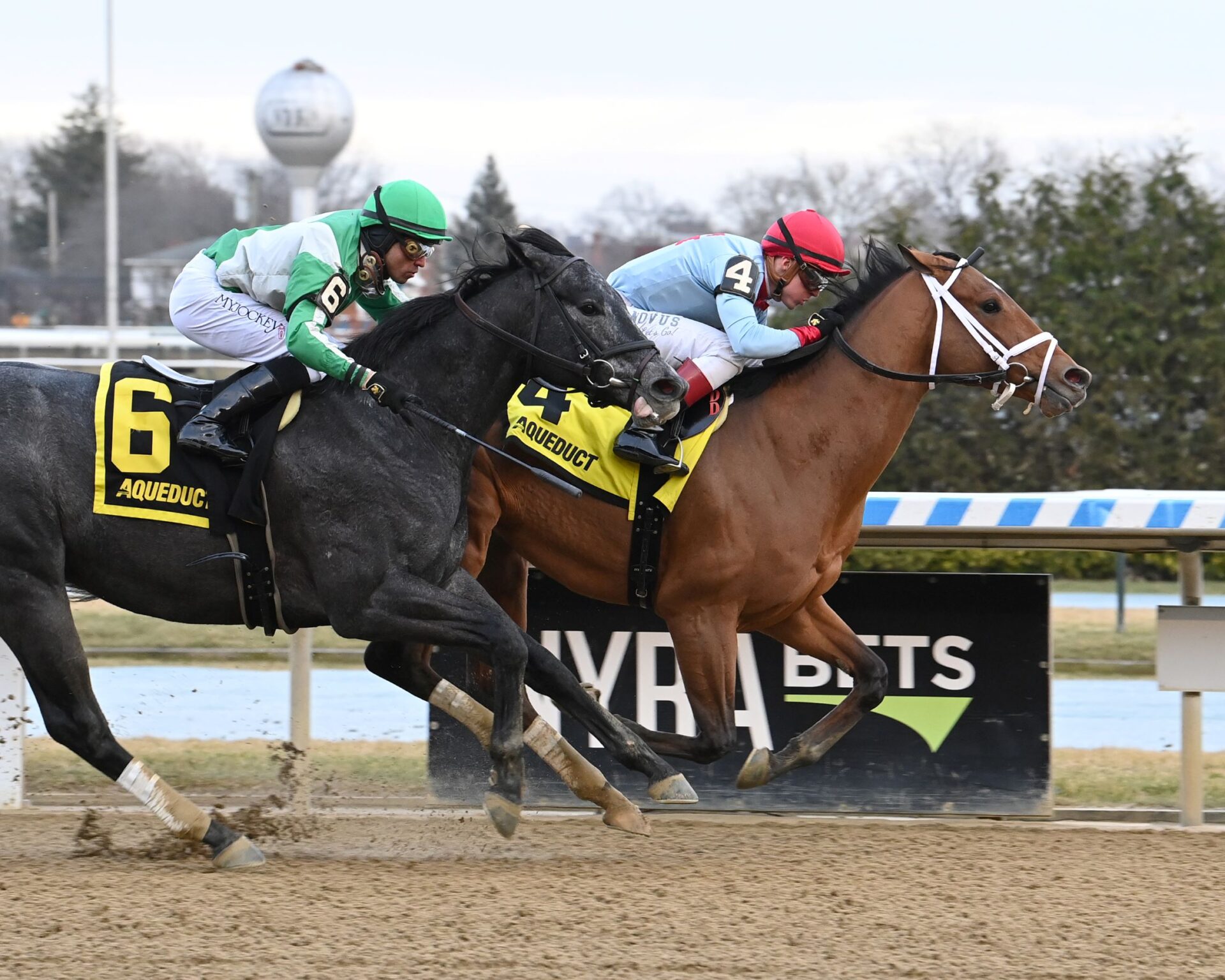 Lugan Knight, horse, BG Stables, Jerome Stakes, sábado, 7 de enero de 2023, Aqueduct. Foto: Coglaniese Photo & Susie Raisher