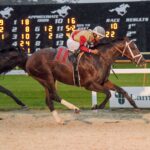 Litigate, horse, Blame, Sam F. Davis, sábado, 11 de febrero de 2023 Tampa Bay Downs Foto: SV Photography
