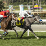 Ag Bullet, Horses, Twirling Candy, Lady Of Shamrock Stakes, domingo, 12 de febrero de 2023, Santa Anita Park. Foto: Benoit Photo