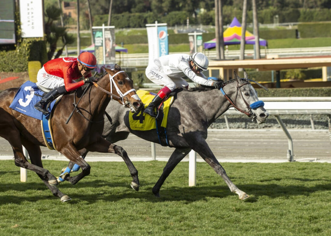 Ag Bullet, Horses, Twirling Candy, Lady Of Shamrock Stakes, domingo, 12 de febrero de 2023, Santa Anita Park. Foto: Benoit Photo