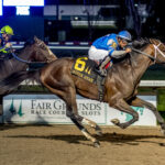 Angel Of Empire, Classic Empire, Risen Star Stakes, sábado, 18 de febrero de 2023, Fair Grounds. Foto: Hodges Photography